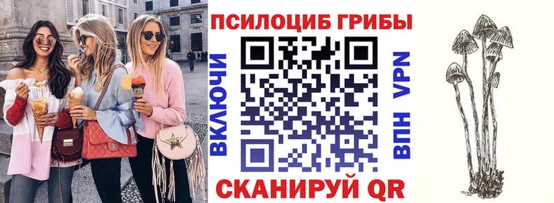 Галлюциногенные грибы Cubensis  MEGA   Троицк 